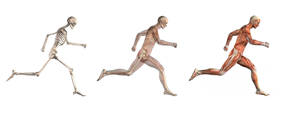 Musculo Skeletal Physiotherapy